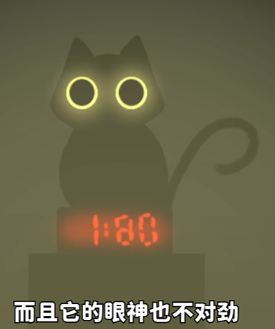 別帶這只貓回家官方版