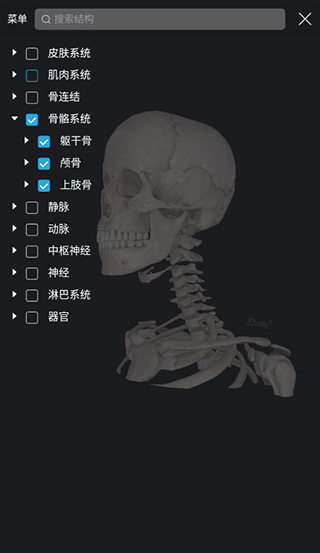 3Dbody人體解剖學(xué)