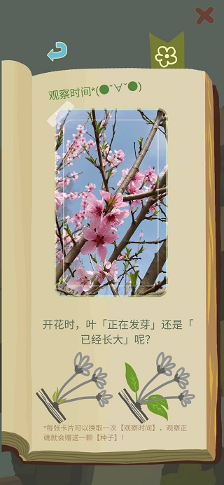 老農(nóng)種樹(shù)手機(jī)版