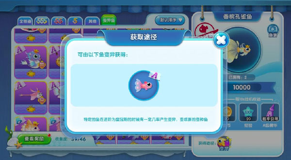 萌魚泡泡官方版