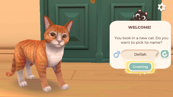 貓咪救援故事(Cat Rescue Story)中文版