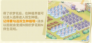 織夢森林官方版