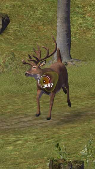 狩獵狙擊手中文版