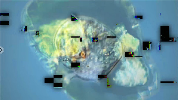 孢子模擬器(Bionix)漢化版