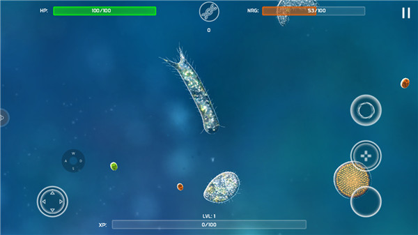 孢子模擬器(Bionix)漢化版