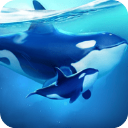 小小水世界國際服手機版