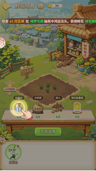 我的花園世界官方版