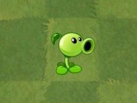 植物大戰(zhàn)僵尸2官方正版