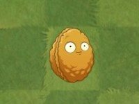 植物大戰(zhàn)僵尸2官方正版